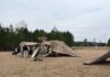 In the Georgia woods, Army tests combinations of line-of-sight and satellite links to keep in constant contact, but it’s not perfect, or cheap