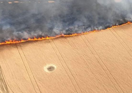 image-2022-07-8-25667177-0-culturi-cereale-incendiate