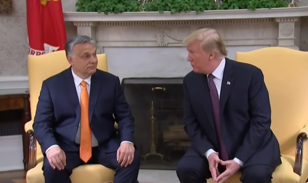 image-2022-01-3-25276302-0-viktor-orban-donald-trump