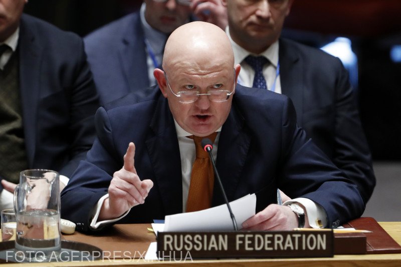 image-2018-04-12-22391307-0-vasili-nebenzia
