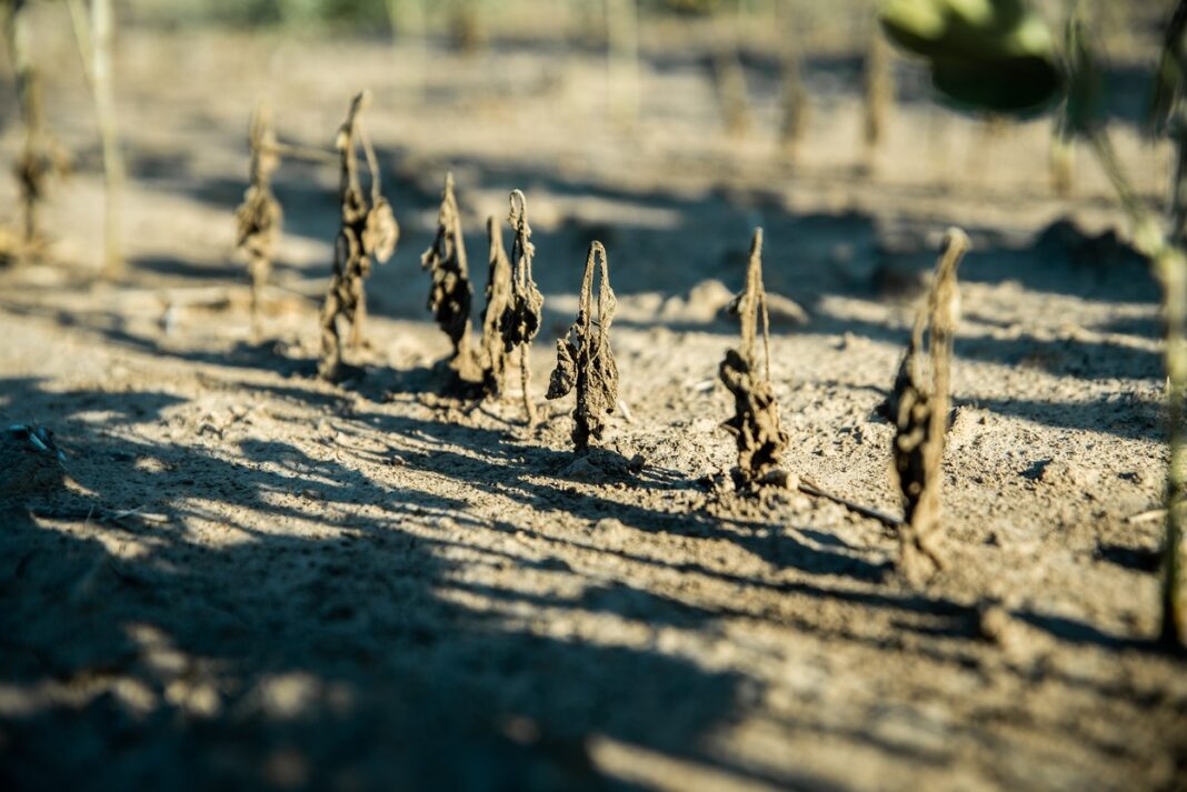 Drought in Argentina