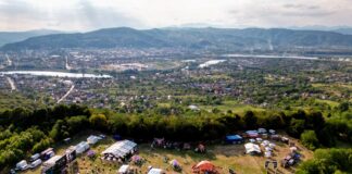 Deep Forest Fest