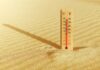 Temperaturile maxime s-au apropiat de 50 de grade Celsius în Algeria
