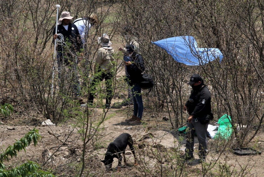 image-2023-07-9-26385695-0-politia-din-mexic-scena-unei-crime