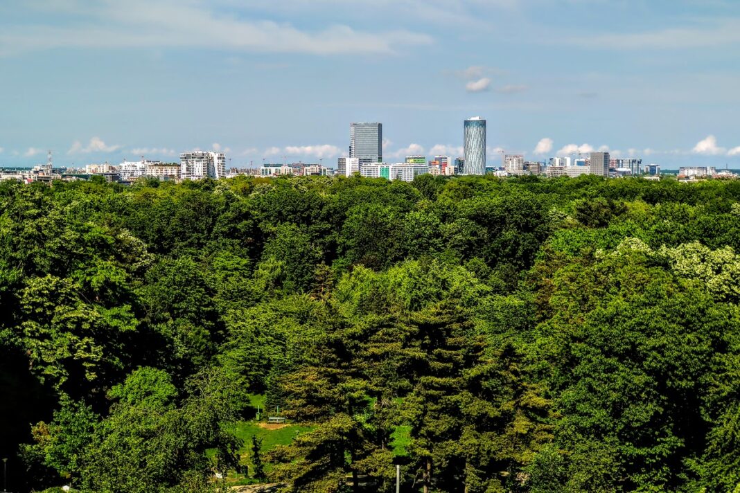image-2019-06-12-23199932-0-bucuresti-parcul-herastrau