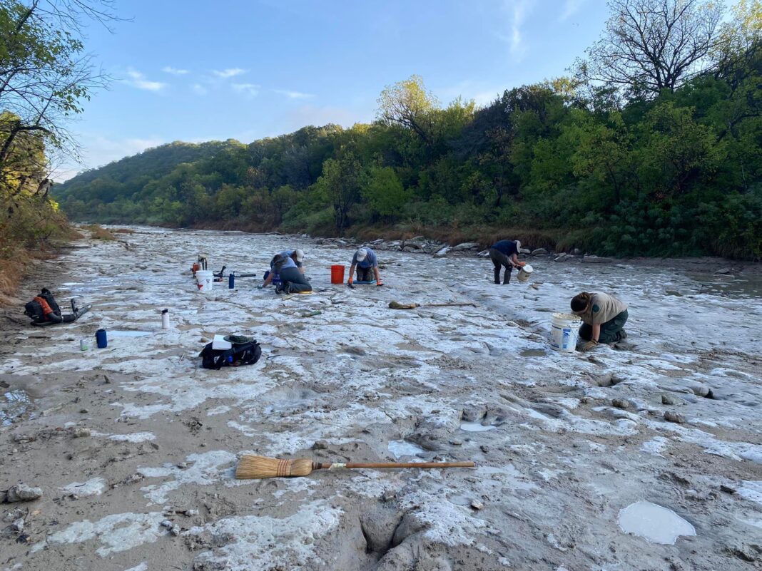 Drought Uncovers Remarkable Dinosaur Tracks In Texas State Park