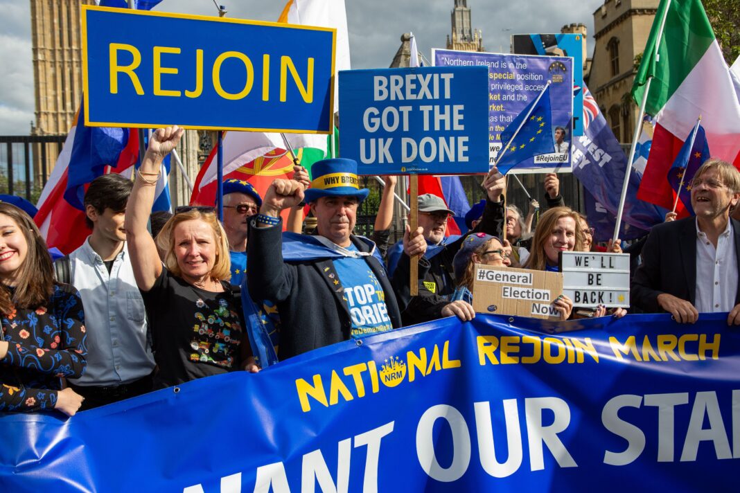 National Rejoin EU March In London