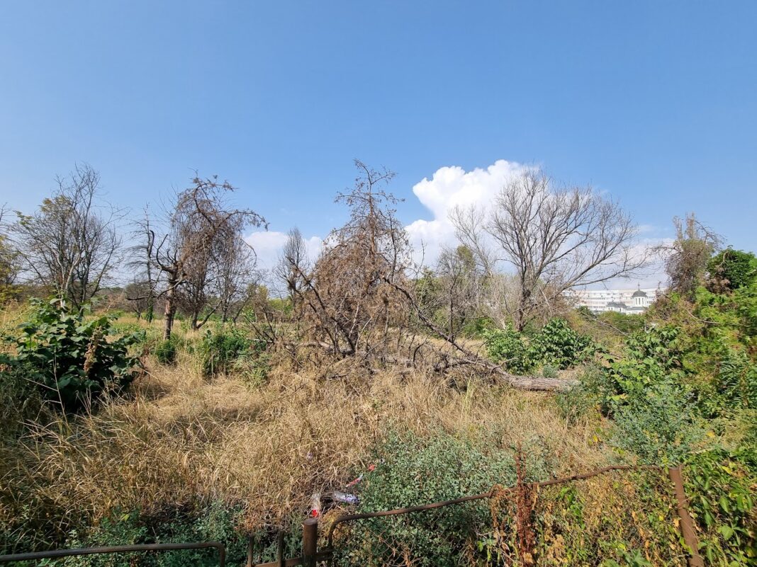 image-2023-08-30-26496950-0-bucata-retrocedata-ior-dupa-incendiul-din-august-2023