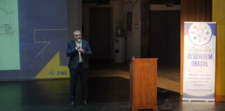 Virgil Pîrvulescu