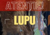 CÂND POLITICUL OMOARĂ… CAII! LUPU și USR-ul vinovați de genocidul de la Delfinariul Constanța!