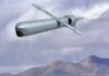 Israel Aerospace Industries Unveils Affordable New Cruise Missile: Wind Demon