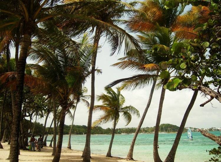 vacanta caraibe all inclusive