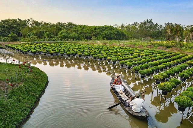 croaziera asia