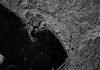 NRO Extends Contracts for SAR Satellite Imagery Providers Amid Industry Changes