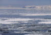 A Bold Arctic Gambit: U.S. Eyes Purchase of Russia’s Commander Islands