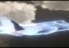 SRC’s Ghost Mantis: Revolutionizing Collaborative Combat Aircraft with Advanced Electronic Warfare