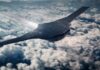 Shield AI Unveils X-BAT: A Fighter-Drone Concept with In-House Autonomy