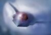 Technology and Tensions: 2025, A Pivotal Year for Global Air Dominance