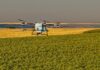 Unde nu a răsărit rapița? AEROCROP identifică zonele afectate cu ajutorul dronei