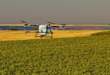 Unde nu a răsărit rapița? AEROCROP identifică zonele afectate cu ajutorul dronei