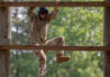 US Army prepares specialists to adapt robots on the battlefield